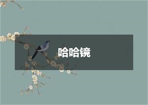 哈哈镜