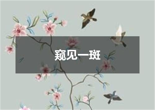 窥见一斑