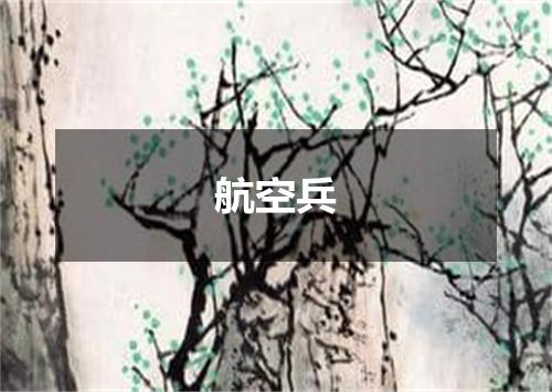 航空兵