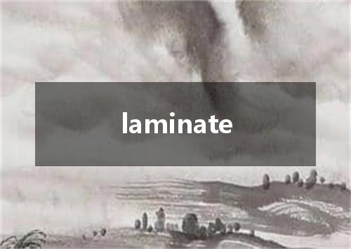 laminate是什么意思