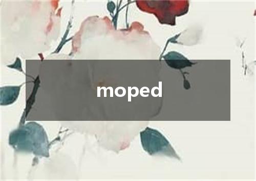 moped是什么意思