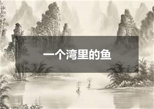 一个湾里的鱼