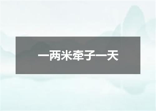 一两米牵子一天