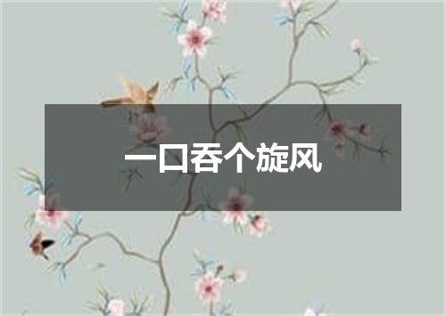 一口吞个旋风