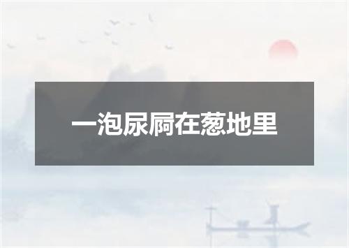 一泡尿屙在葱地里