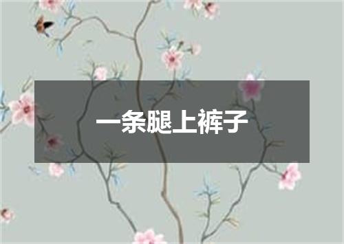 一条腿上裤子