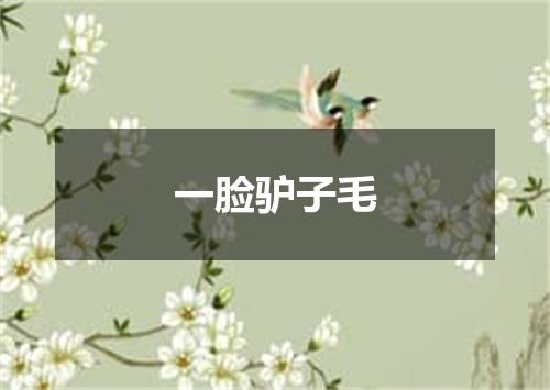 一脸驴子毛