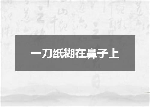 一刀纸糊在鼻子上