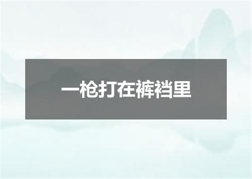一枪打在裤裆里