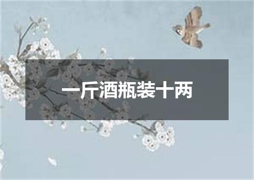 一斤酒瓶装十两