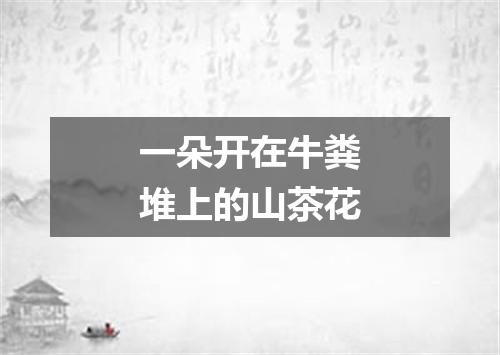 一朵开在牛粪堆上的山茶花