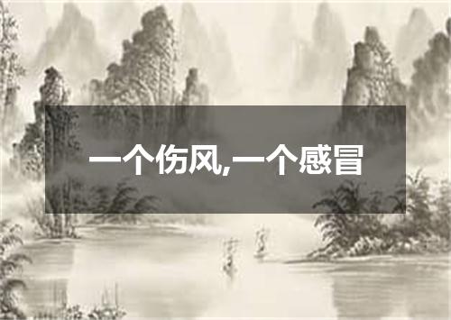 一个伤风,一个感冒