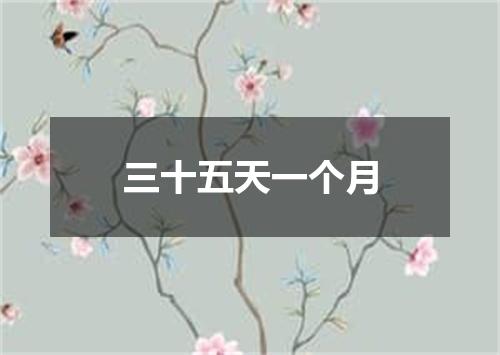 三十五天一个月