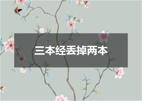 三本经丢掉两本