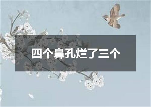 四个鼻孔烂了三个