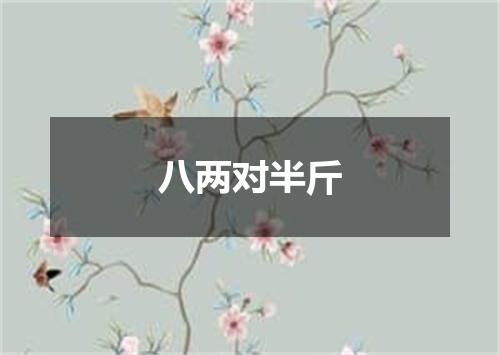 八两对半斤