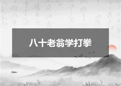 八十老翁学打拳