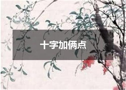 十字加俩点