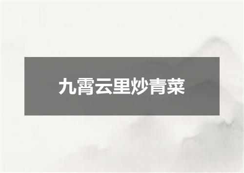九霄云里炒青菜