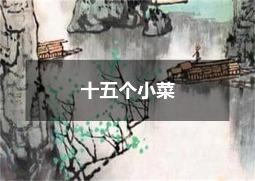 十五个小菜