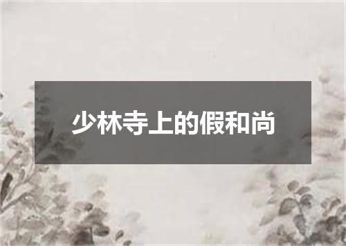 少林寺上的假和尚