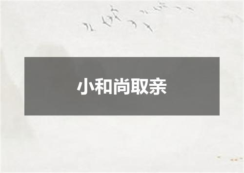 小和尚取亲