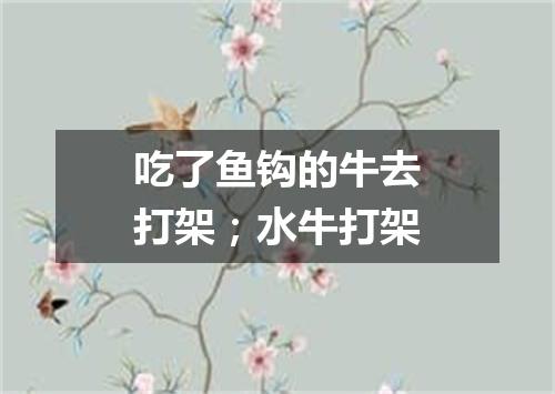 吃了鱼钩的牛去打架；水牛打架