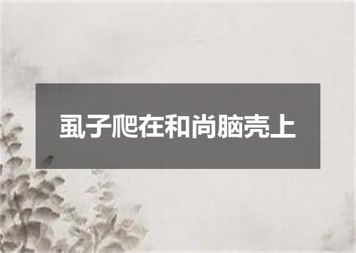 虱子爬在和尚脑壳上