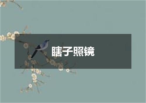 瞎子照镜