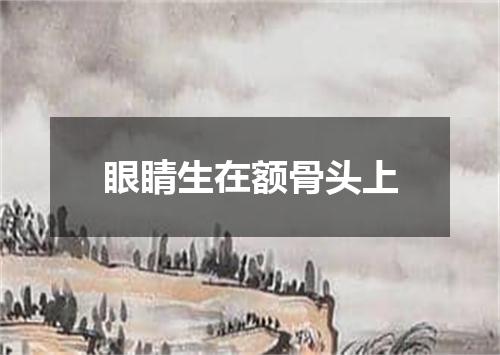 眼睛生在额骨头上