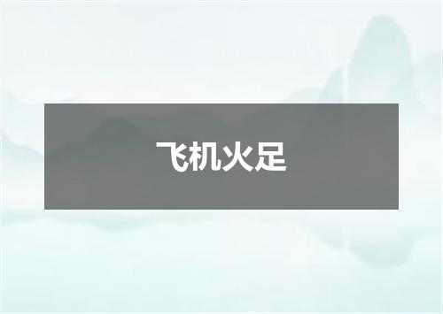 飞机火足