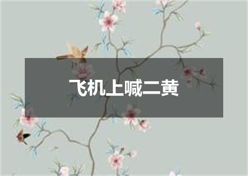 飞机上喊二黄