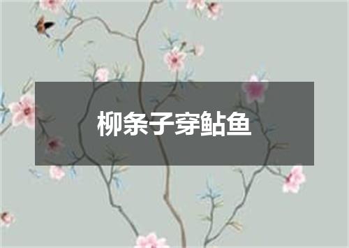 柳条子穿鲇鱼