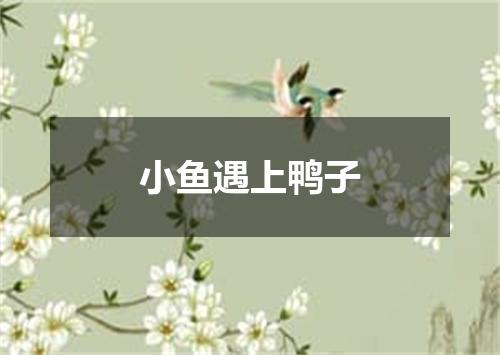 小鱼遇上鸭子