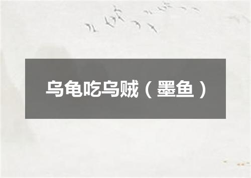 乌龟吃乌贼（墨鱼）