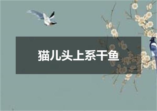 猫儿头上系干鱼