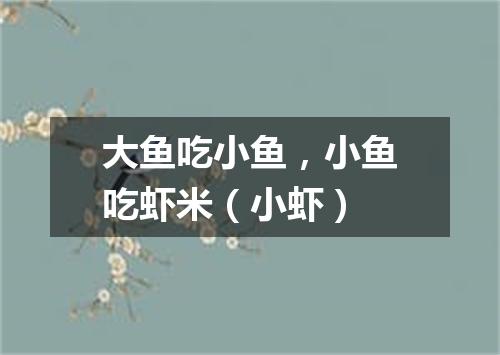 大鱼吃小鱼，小鱼吃虾米（小虾）