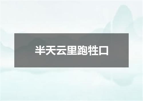 半天云里跑牲口