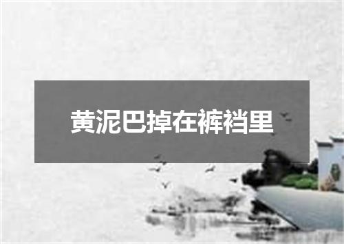 黄泥巴掉在裤裆里