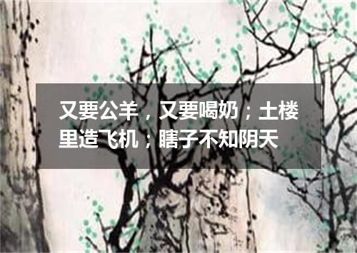 又要公羊，又要喝奶；土楼里造飞机；瞎子不知阴天