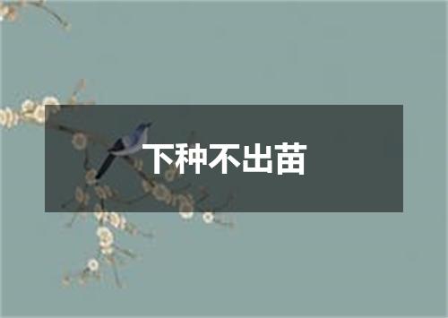 下种不出苗
