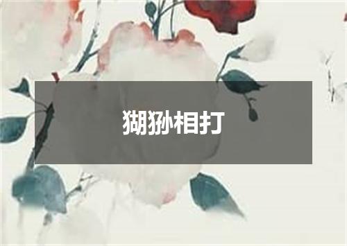 猢狲相打