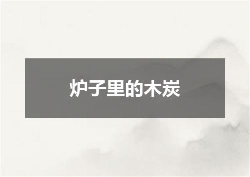 炉子里的木炭