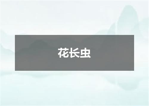 花长虫