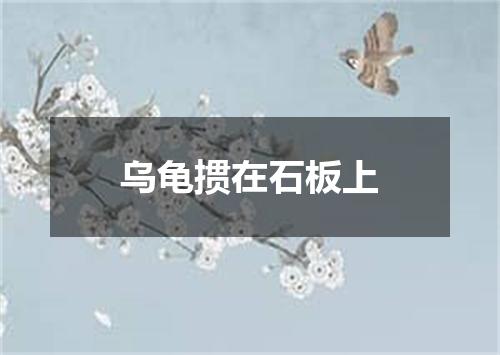 乌龟掼在石板上