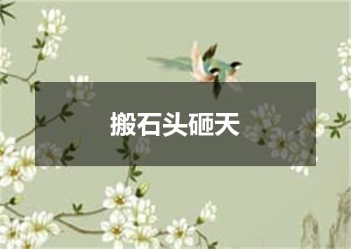 搬石头砸天