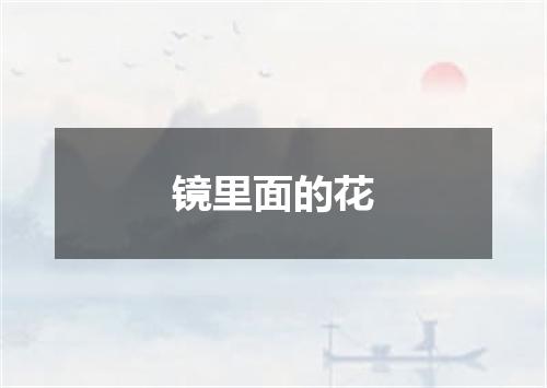 镜里面的花