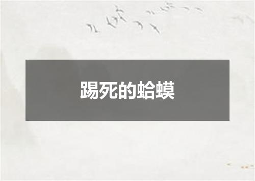 踢死的蛤蟆