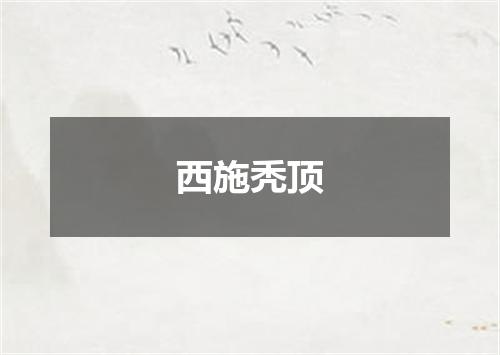西施秃顶