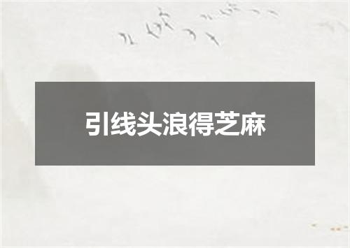 引线头浪得芝麻